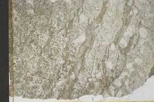 Plane Polarized, S41470