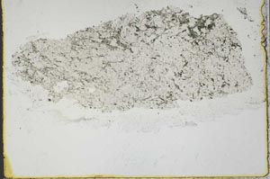 Plane Polarized, S41472
