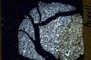 Cross Polarized, S41474
