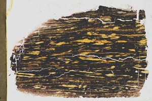 Plane Polarized, S41485
