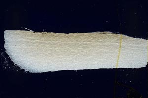 Cross Polarized, S41488