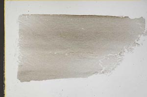 Plane Polarized, S41488/A