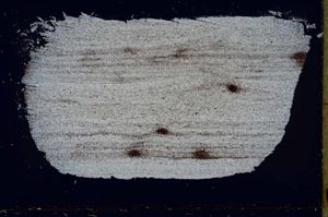 Cross Polarized, S41489