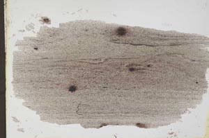 Plane Polarized, S41489/A