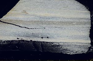 Cross Polarized, S41491