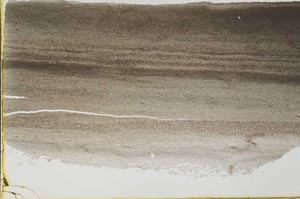 Plane Polarized, S41491/A