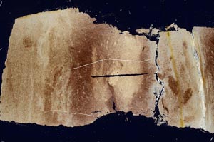 Cross Polarized, S41492