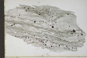 Plane Polarized, S41516