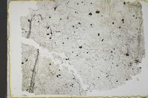 Plane Polarized, S41520