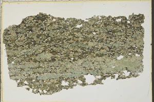 Plane Polarized, S41521