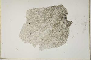 Plane Polarized, S41522