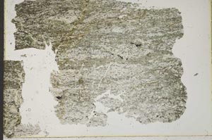 Plane Polarized, S41525