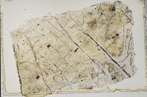 Plane Polarized, S41528