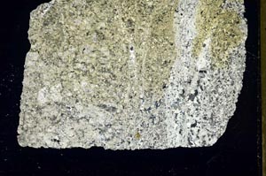 Cross Polarized, S41529