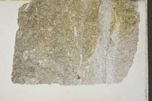 Plane Polarized, S41529
