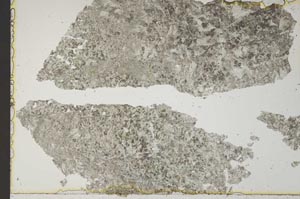 Plane Polarized, S41534