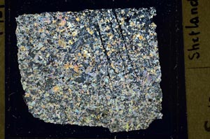 Cross Polarized, S41535