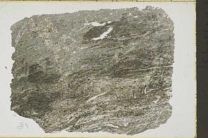 Plane Polarized, S41537