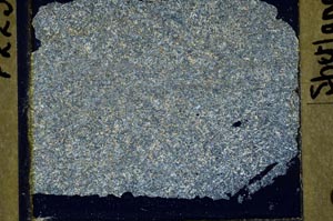 Cross Polarized, S41538