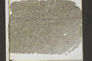 Plane Polarized, S41538