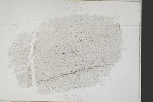 Plane Polarized, S41549