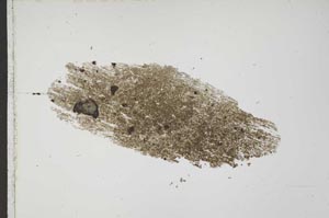 Plane Polarized, S41553