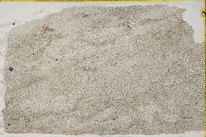 Plane Polarized, S41554/A