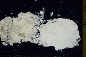 Cross Polarized, S41556