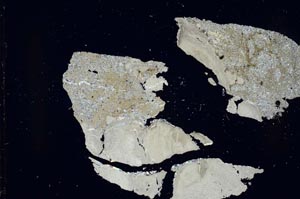 Cross Polarized, S41558