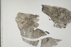 Plane Polarized, S41558