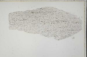 Plane Polarized, S41562