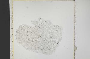 Plane Polarized, S41563