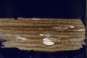 Cross Polarized, S41564