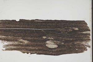 Plane Polarized, S41564