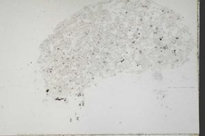 Plane Polarized, S41567