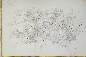 Plane Polarized, S41567/E