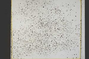Plane Polarized, S41568/A
