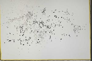 Plane Polarized, S41571/B