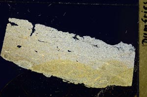 Cross Polarized, S41573
