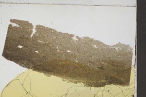 Plane Polarized, S41573
