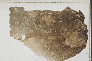 Plane Polarized, S41574