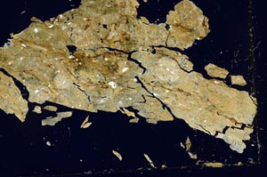 Cross Polarized, S41575