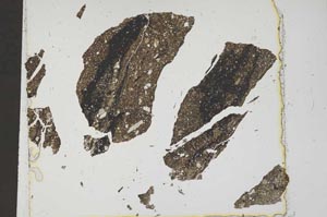 Plane Polarized, S41577