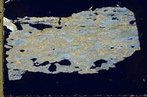 Cross Polarized, S41578