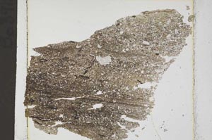 Plane Polarized, S41580