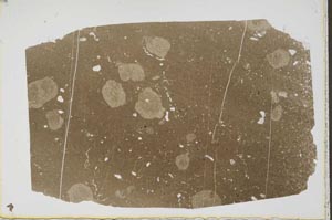 Plane Polarized, S41584