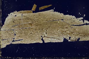 Cross Polarized, S41591