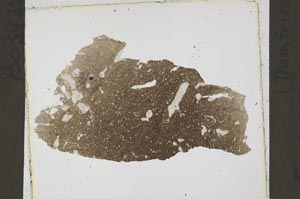 Plane Polarized, S41593