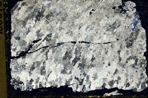 Cross Polarized, S41595