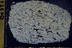 Cross Polarized, S41597